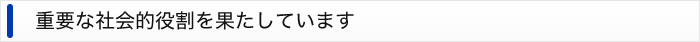 重要な社会的役割を果たしています